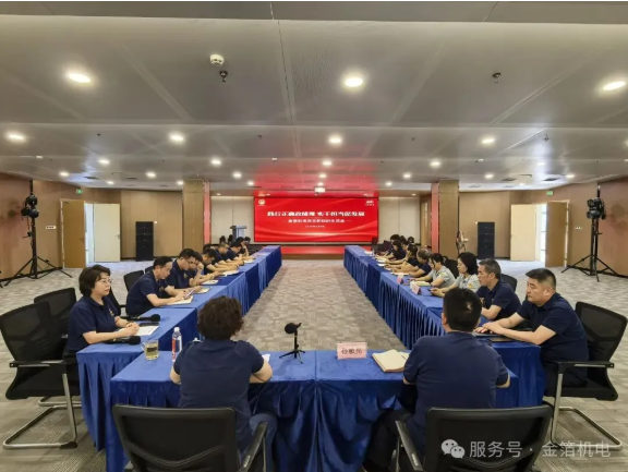 践行正确政绩观 实干担当促发展——金箔机电党总支召开组织生活会